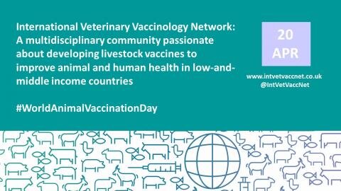 World Animal Vaccination Day | IVVN